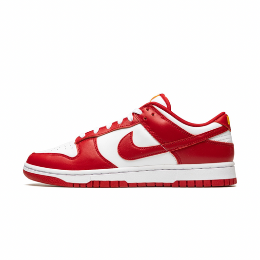 DUNK LOW RETRO
"USC"