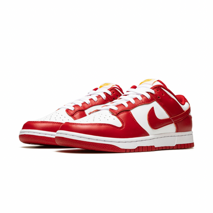 DUNK LOW RETRO
"USC"